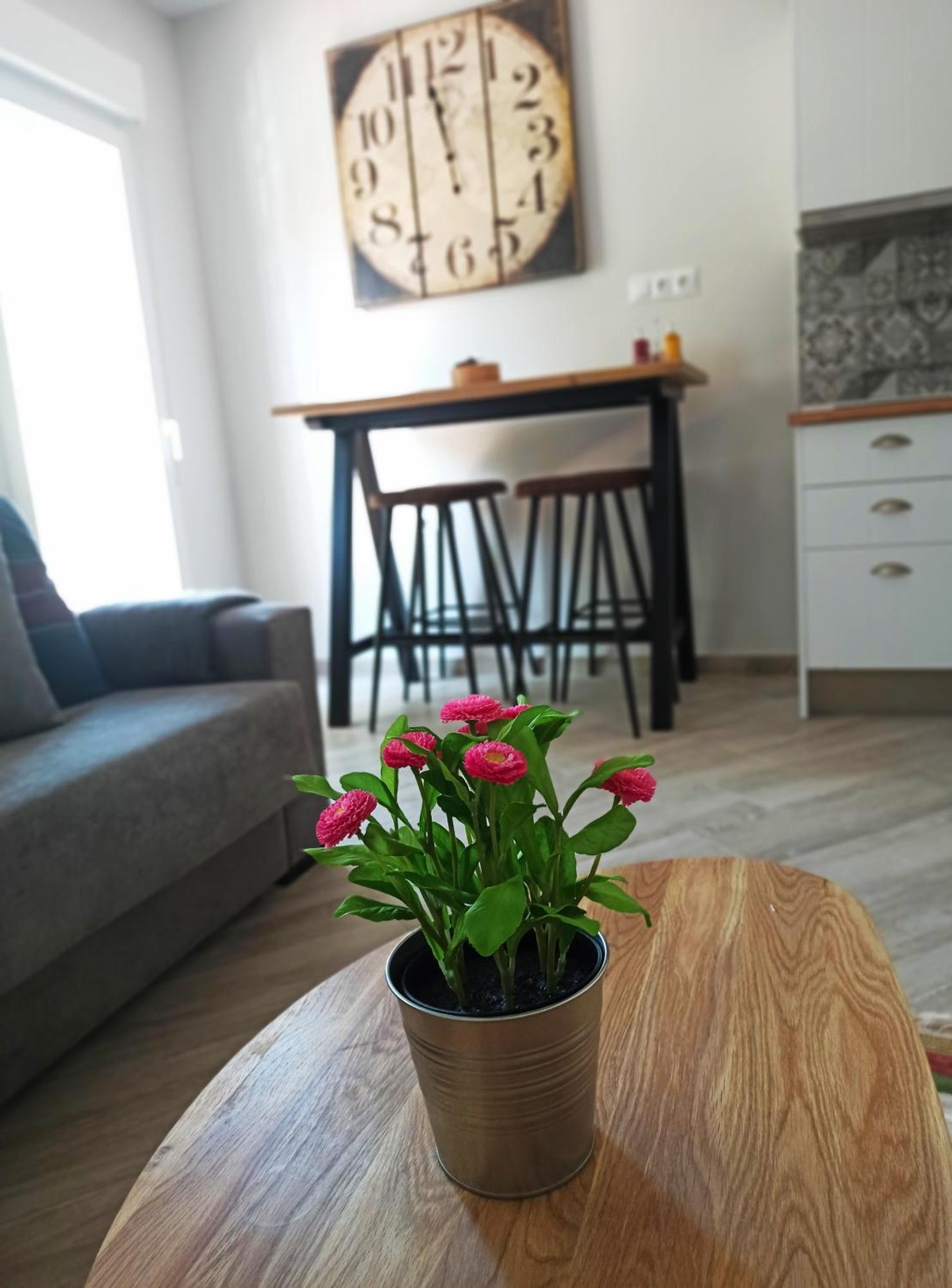 Barcelo 21: Centrally Located Attic with Terrace and Studio Retreat Malaga Room photo